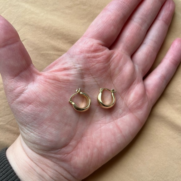 Catbird Coupe Gold Dome Hoop Earrings - Picture 15 of 15